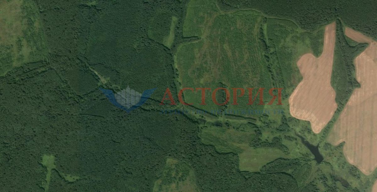 Тунаевка, Земли С/Х назначения, 1011 сот