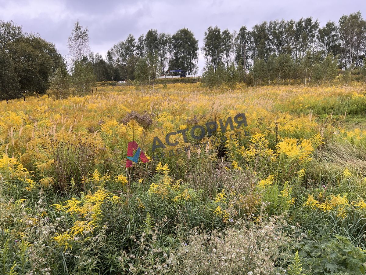 д. Новоселки, 253 кв.м., 35 сот