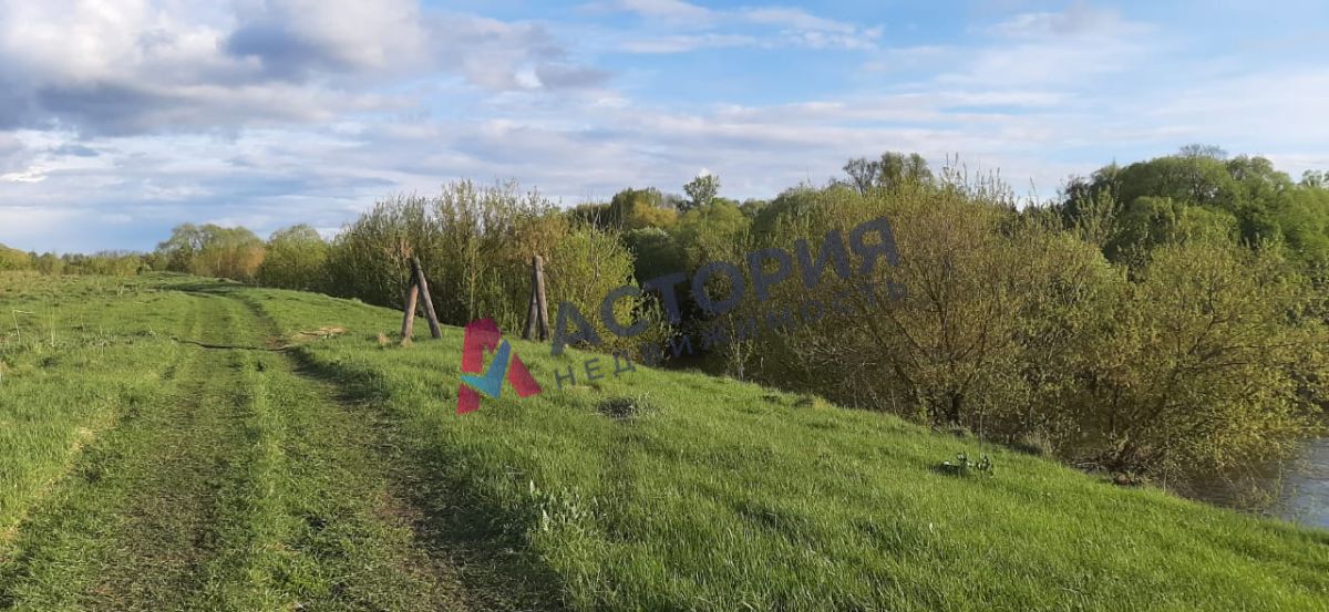 с.Страхово, Земли населенных пунктов, 18.36 сот