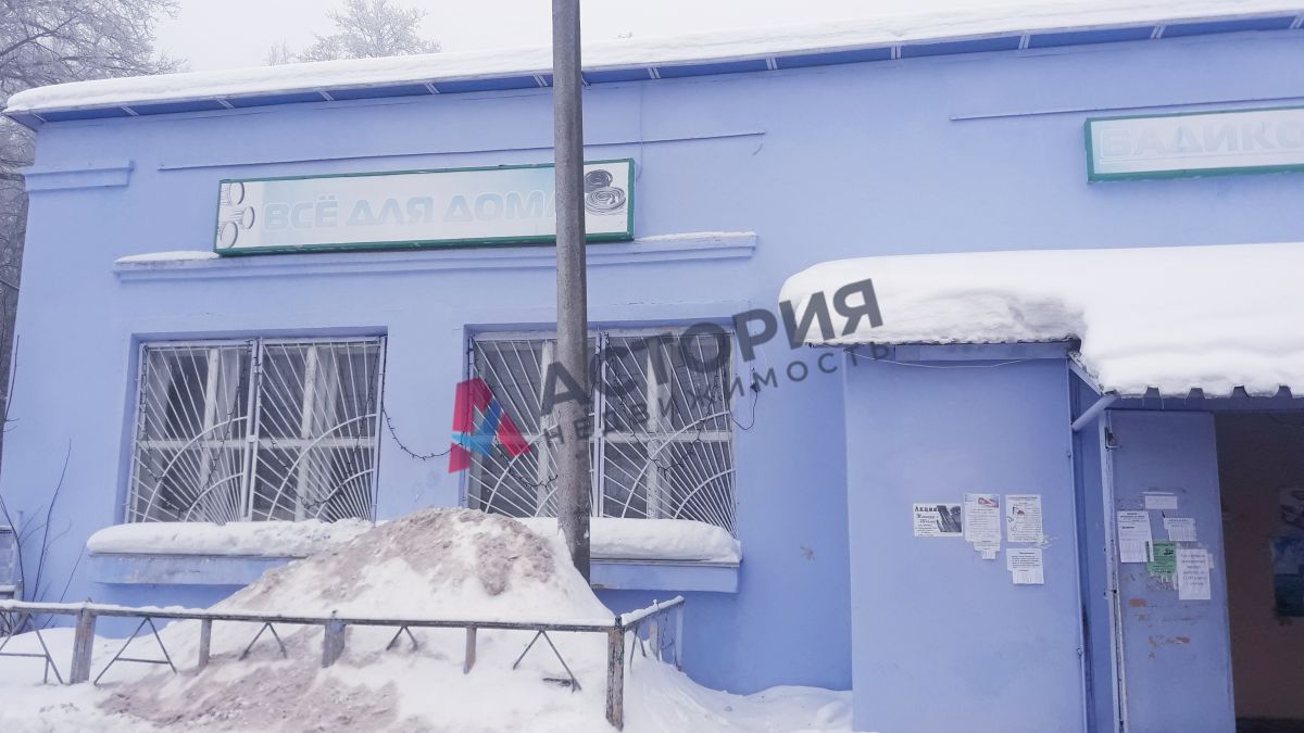Парковая ул 4а, 200.00 кв.м.