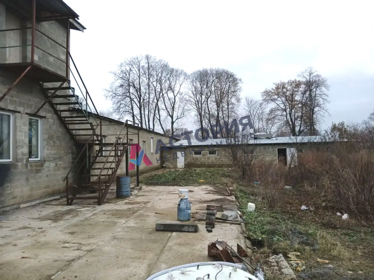 д. Олень, 302.80 кв.м., 50 сот