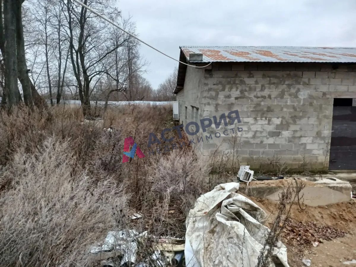 д. Олень, 302.80 кв.м., 50 сот