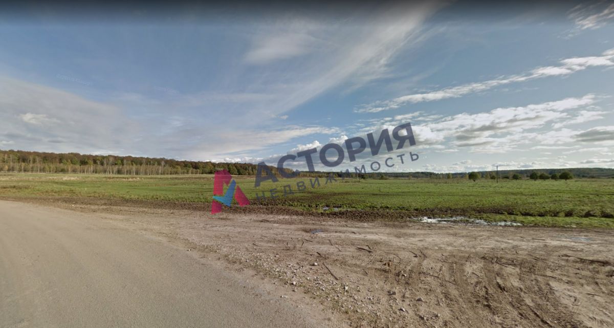 Никольское, Земли населенных пунктов, 33.24 сот