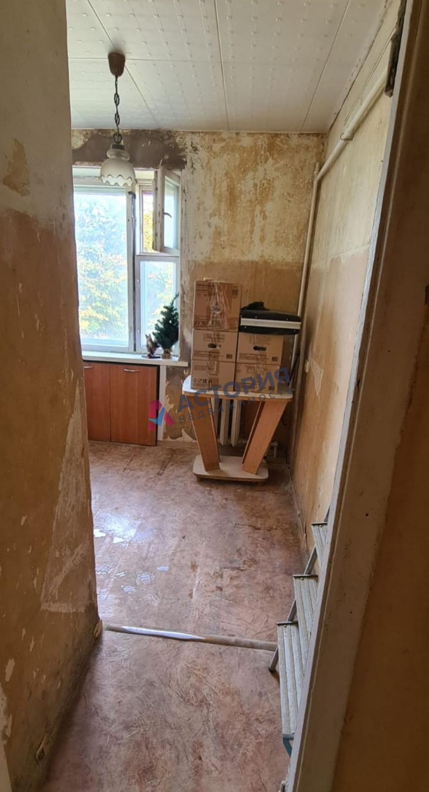Ленина ул 19, 4к, 5/5