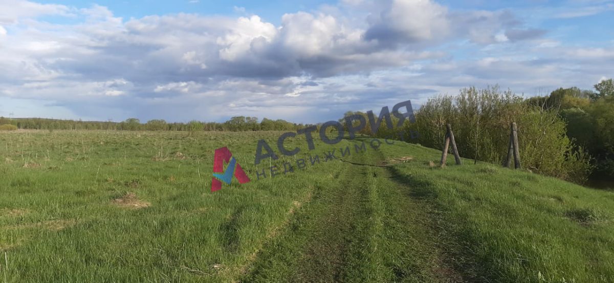 с.Страхово, Земли населенных пунктов, 18.36 сот