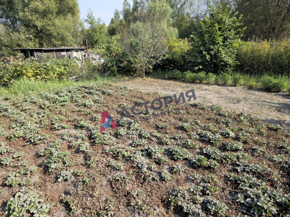 Басово Прудный, 35.20 кв.м., 6 сот
