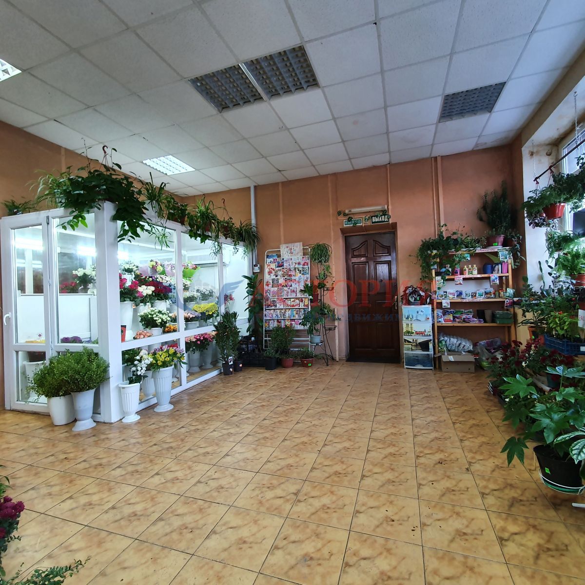 Хворостухина ул 3, 4959.70 кв.м.