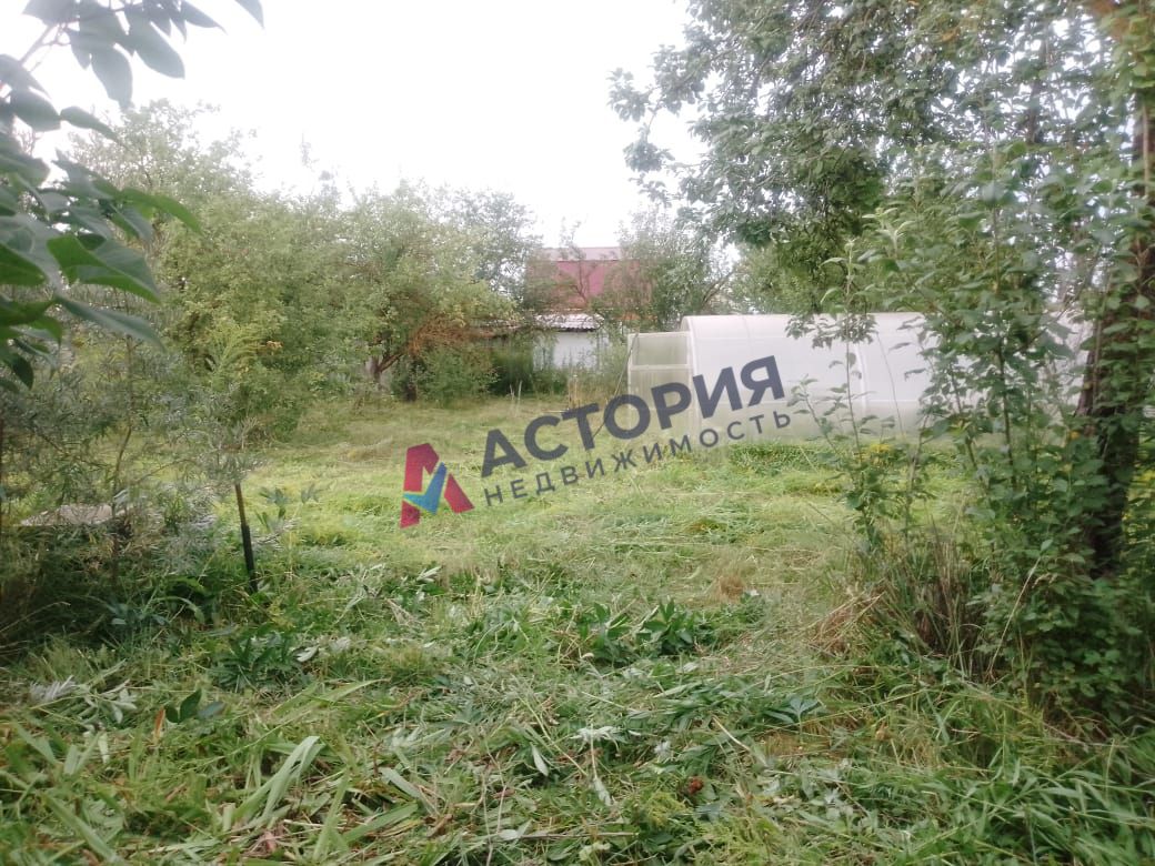 сп. Шатское, 21 кв.м., 5.93 сот