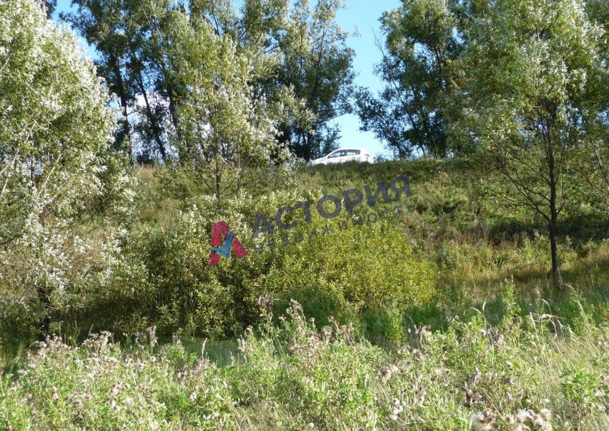 Киреевский район, д. Быковка, 520000.00 кв.м.