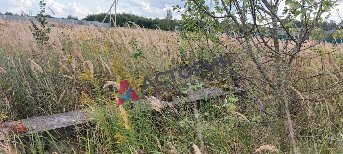 Анишино, Земли населенных пунктов, 15 сот