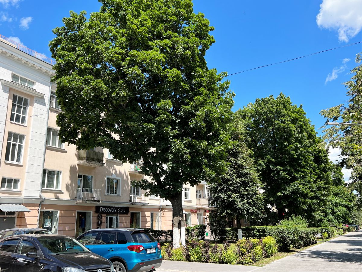 Ленина пр-кт 66, 4к, 2/4