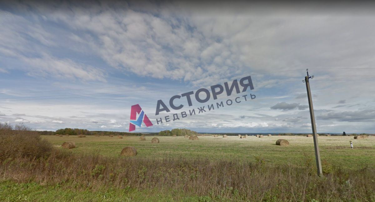 Шлыково, Земли населенных пунктов, 73.69 сот