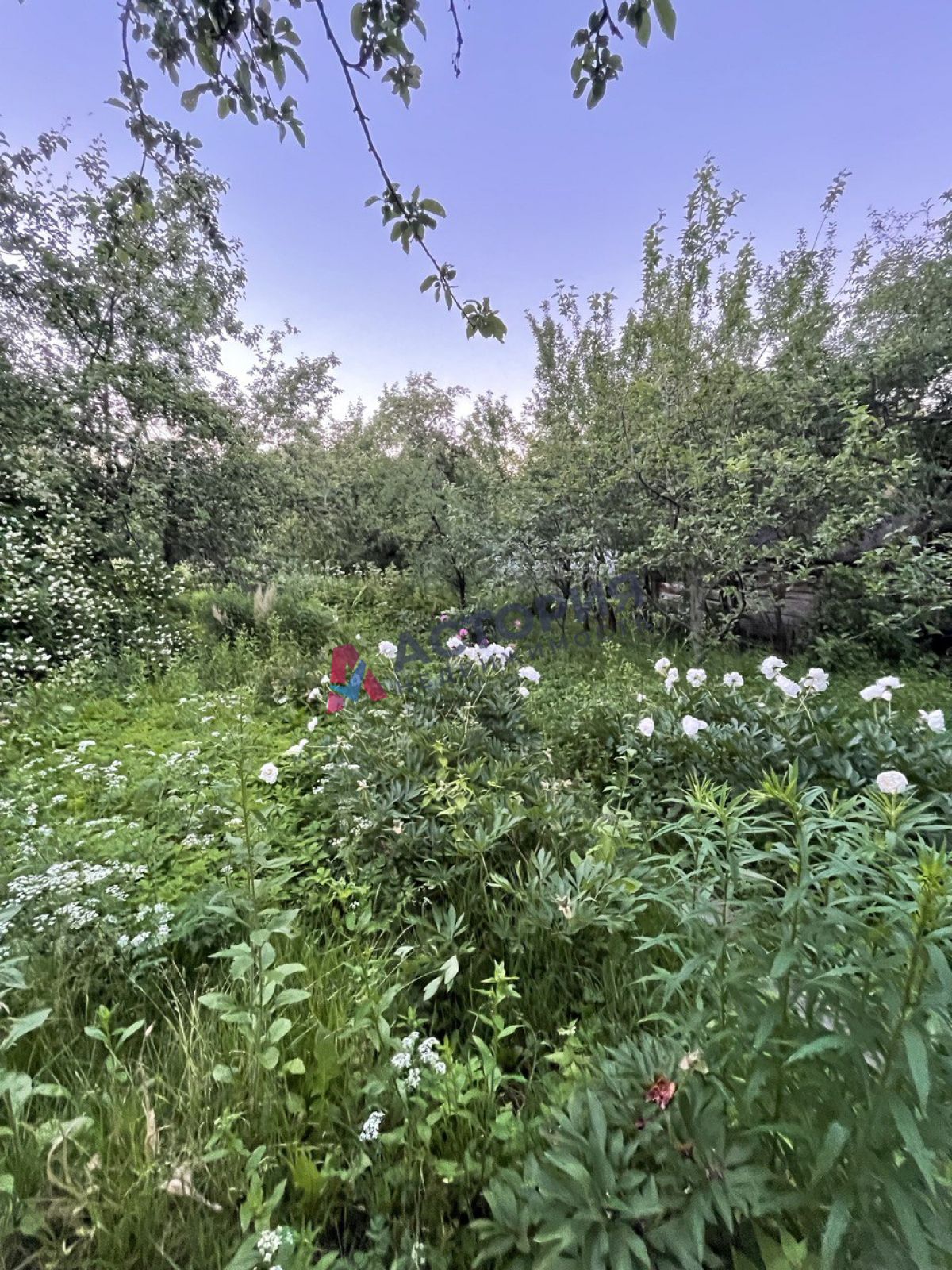 Старое Басово, 20 кв.м., 8 сот