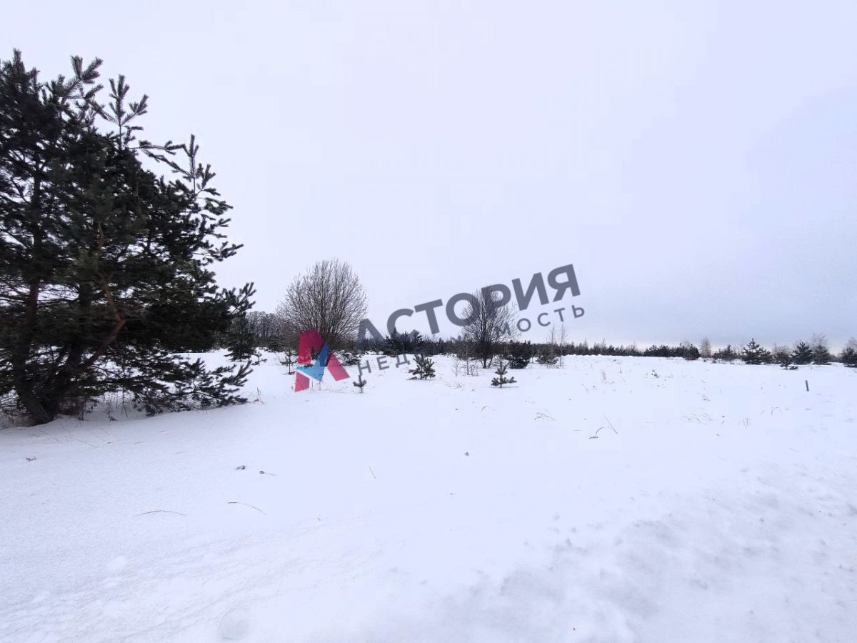 КП Белугино, Земли населенных пунктов, 10 сот