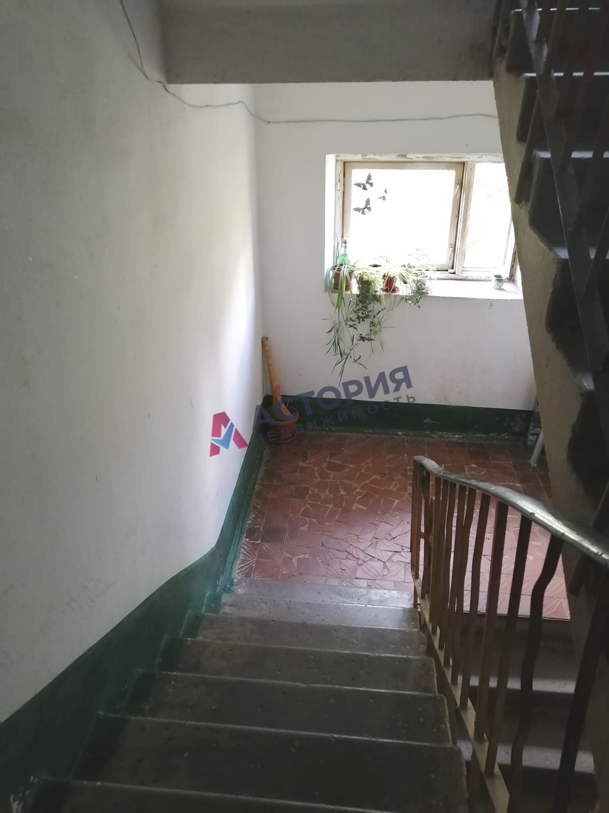 Молодежная ул 11, 1к, 4/5