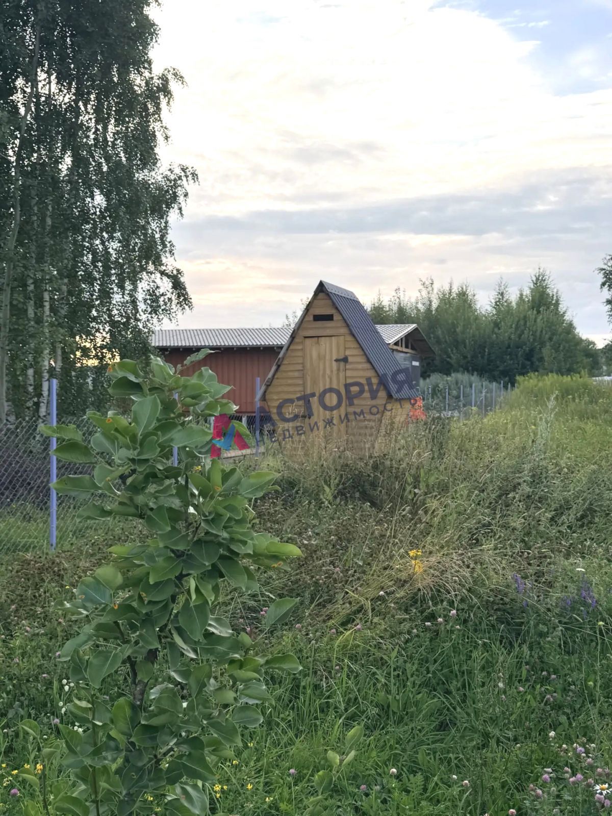 Частое, 47 кв.м., 10 сот