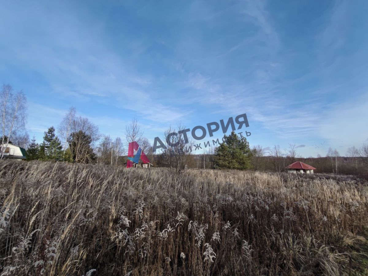 Новоселки, Земли населенных пунктов, 19 сот