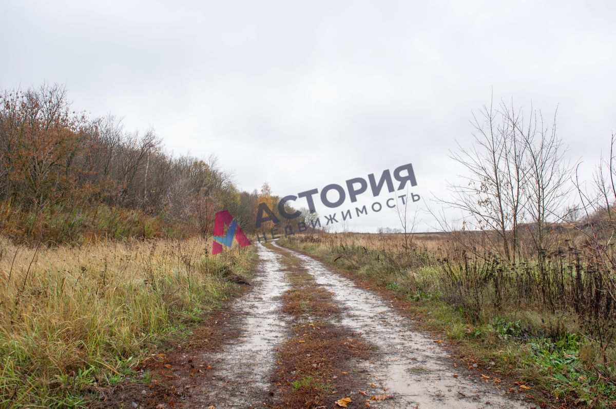 Горбачево п ., 87100.00 кв.м.