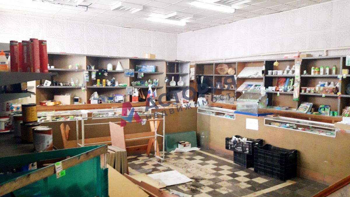 Парковая ул 4а, 200.00 кв.м.
