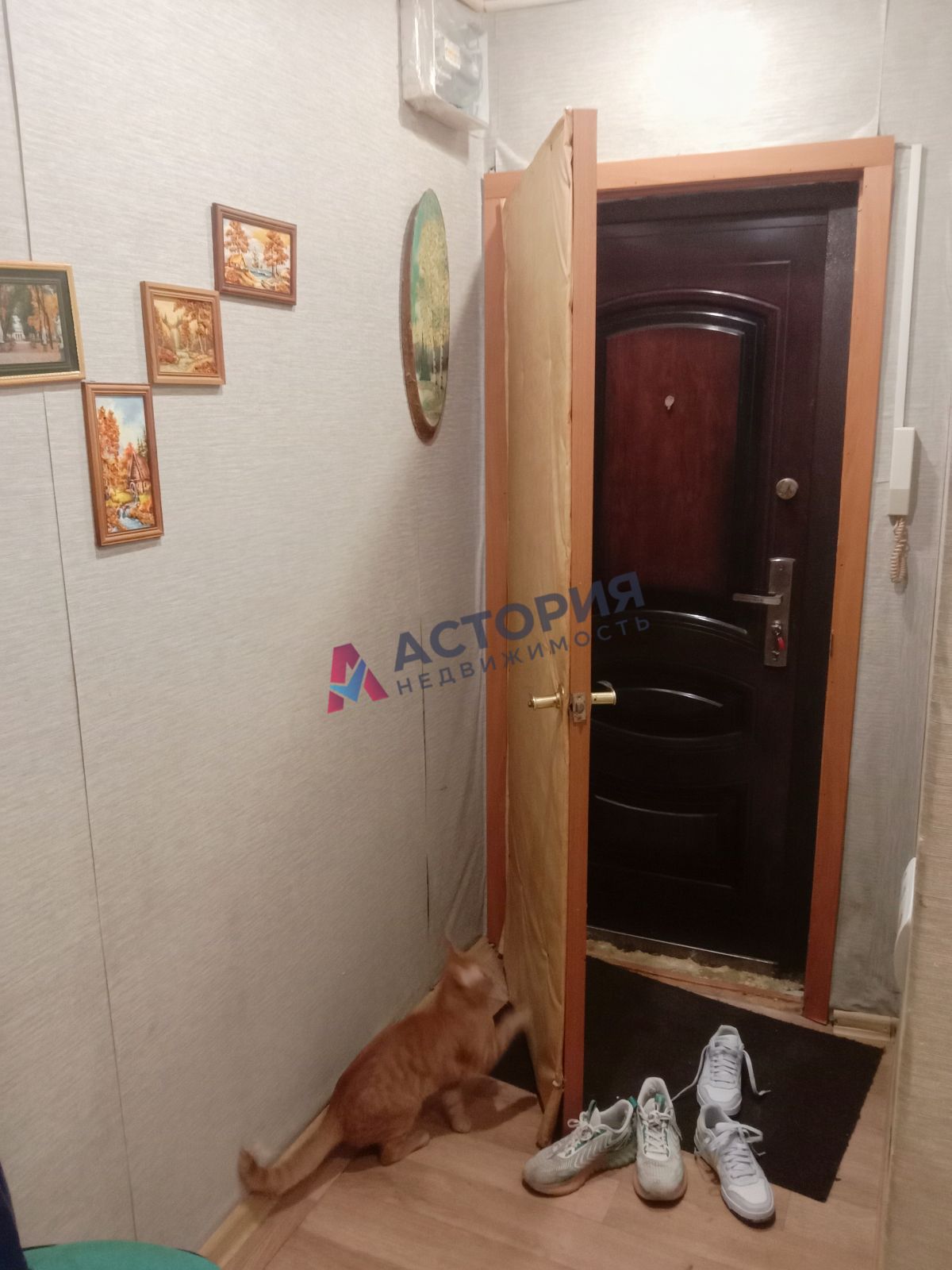 Плеханова ул 136, 1к, 1/5