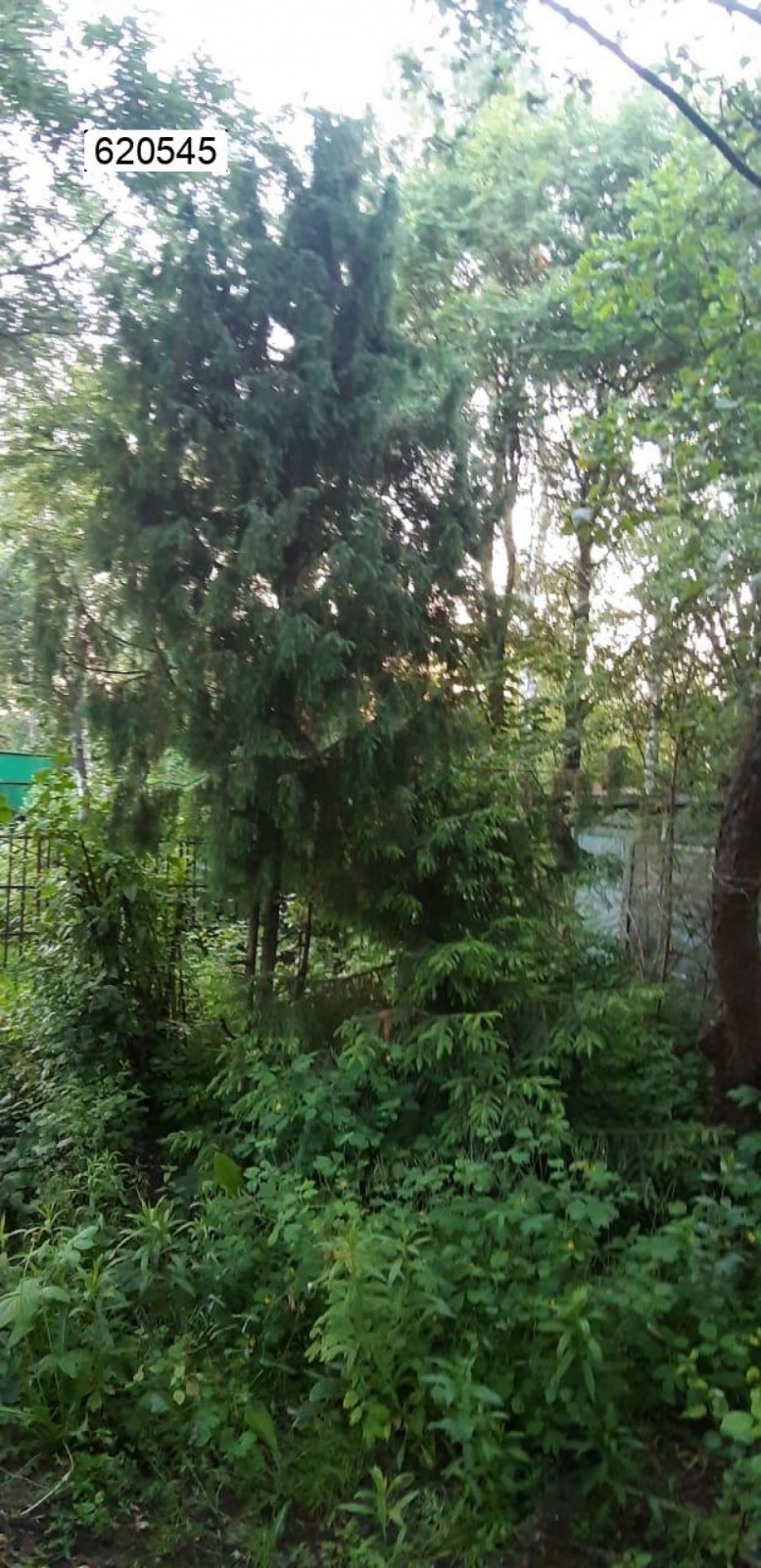 Горелки п., 35 кв.м., 4 сот