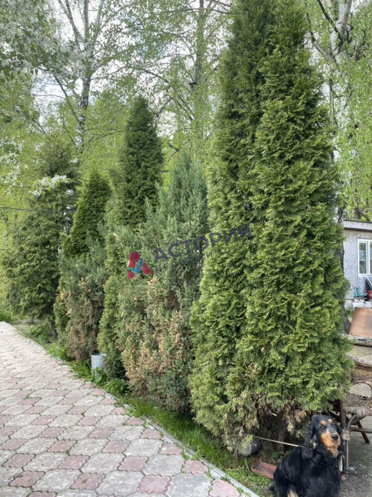 СНТ "Берёзка", 77.3 кв.м., 8.95 сот