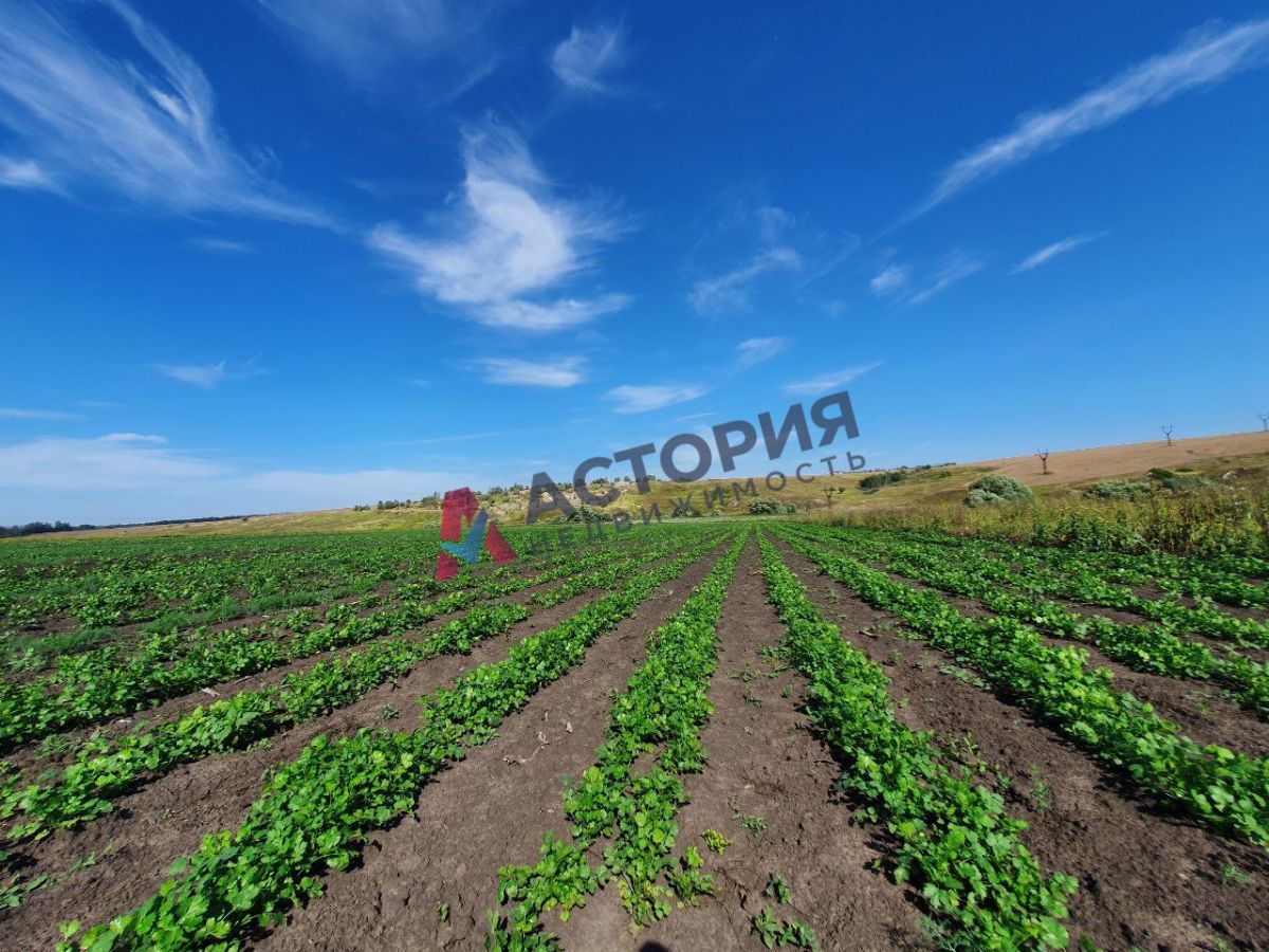 Вечерняя заря 1, 4000.00 кв.м.
