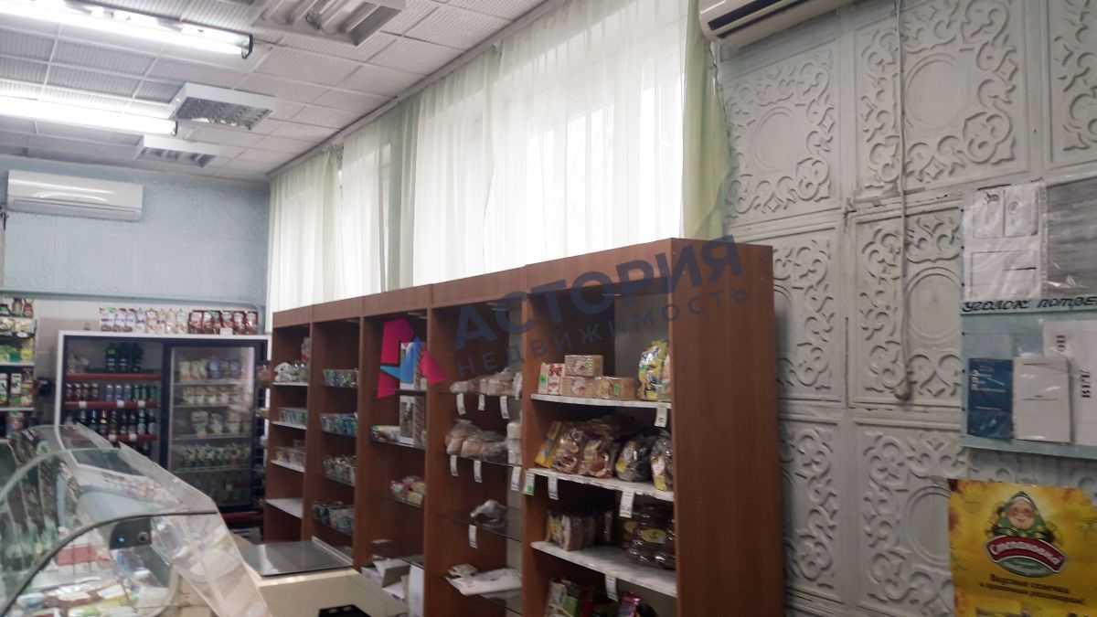 Парковая ул 4а, 200.00 кв.м.