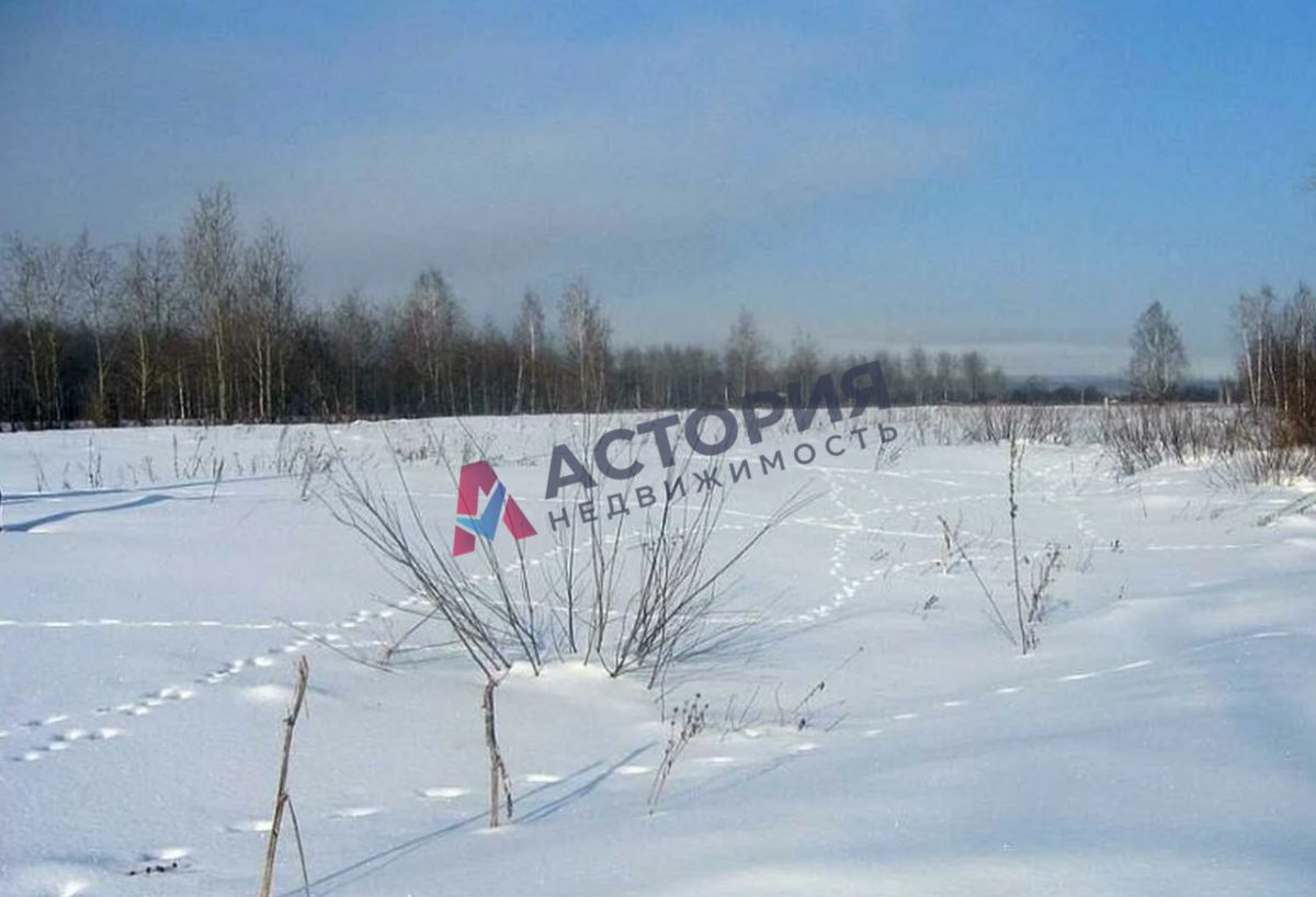 Сеженские Выселки, Земли населенных пунктов, 8 сот