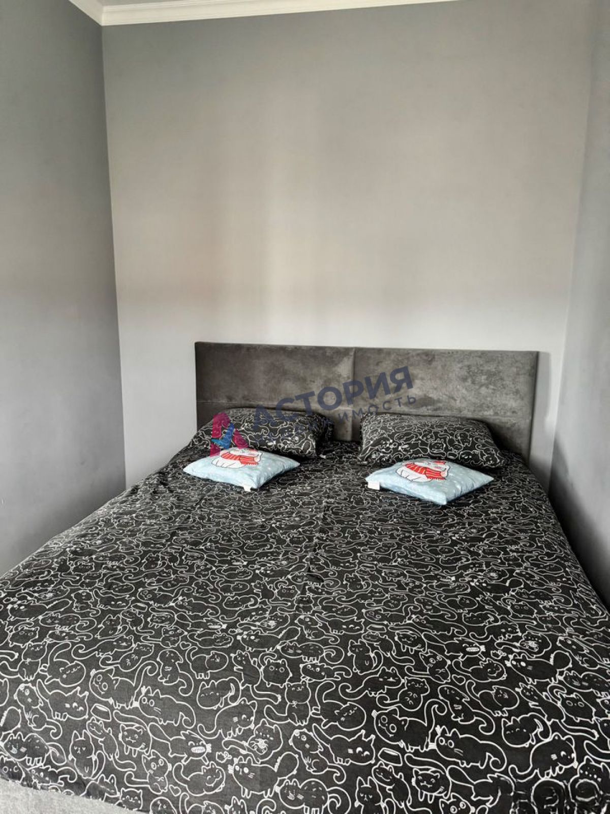Кутузова ул 17, 2к, 5/5