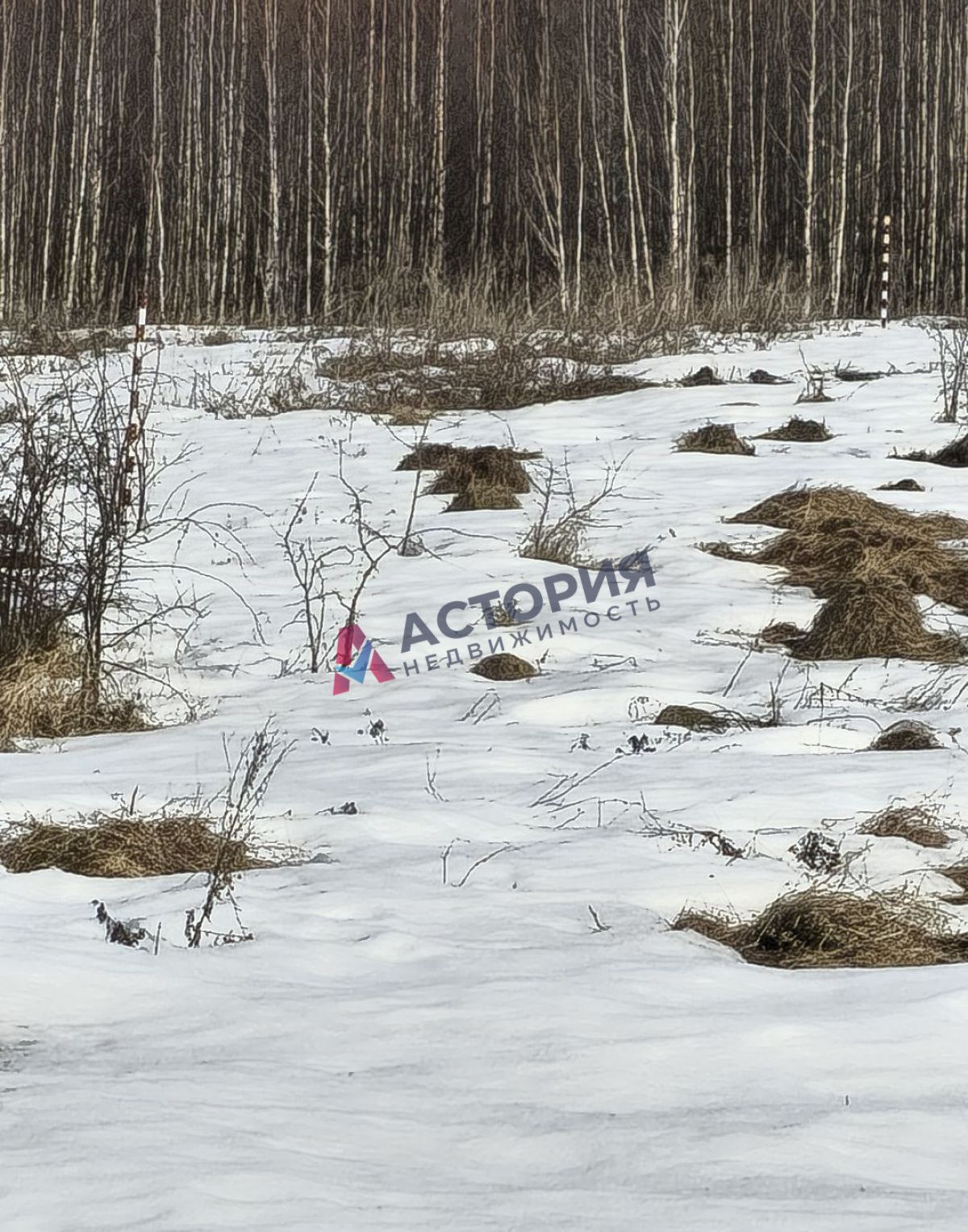 Ильинка, Земли населенных пунктов, 14.93 сот