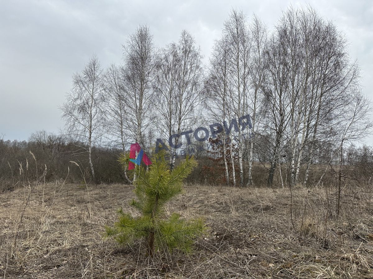 Картошкино, Земли населенных пунктов, 12.20 сот