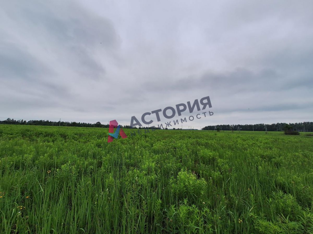 Ясногорск, Земли населенных пунктов, 14.96 сот