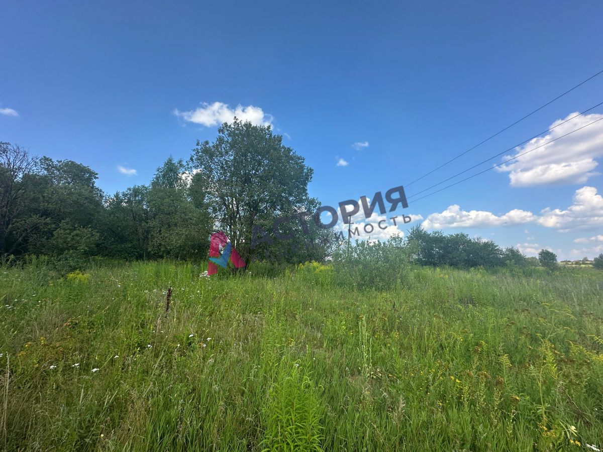 Шатск п  , 6271.00 кв.м.