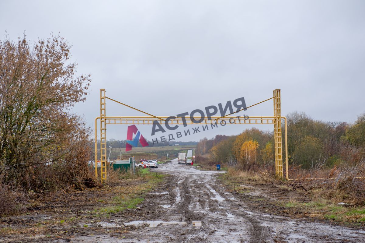 Горбачево п ., 87100.00 кв.м.