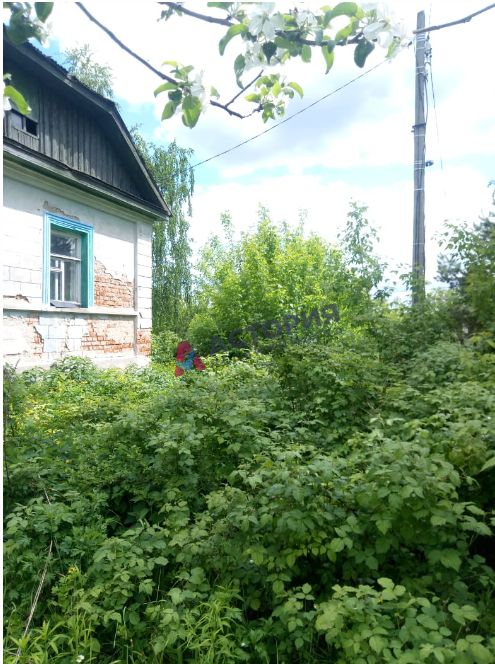 д Барсуки, 38 кв.м., 12 сот
