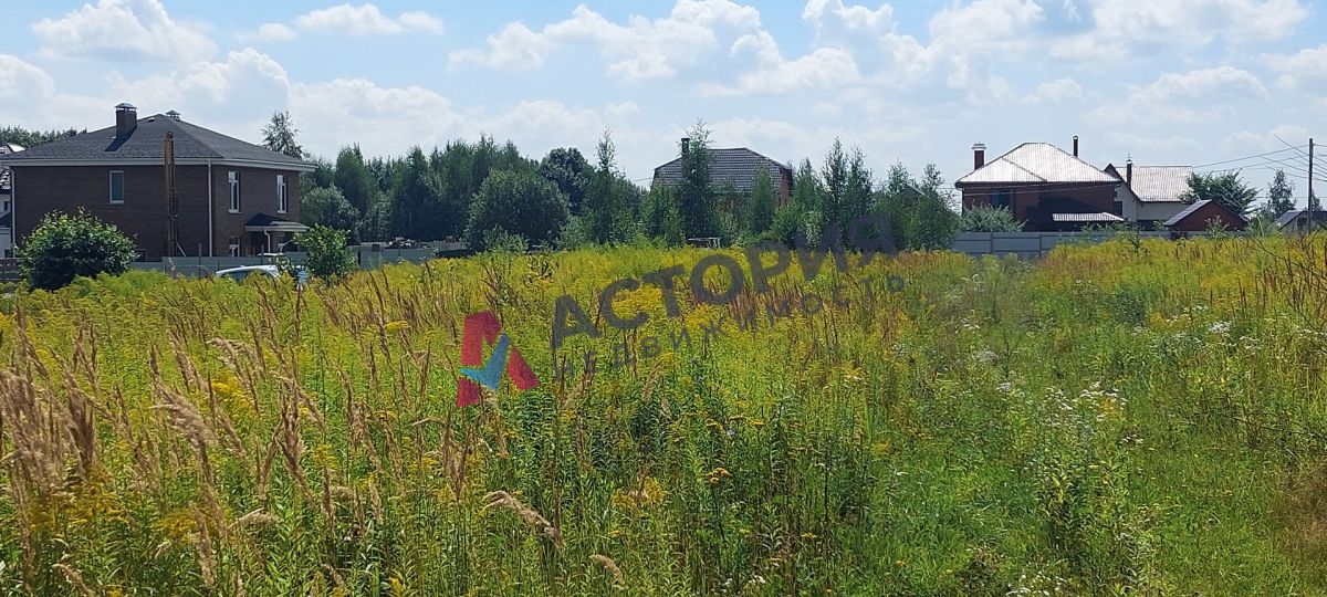 Высокое, Земли населенных пунктов, 55 сот