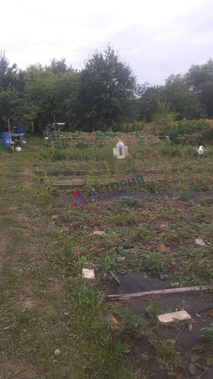 Пещерово, 48 кв.м., 23 сот