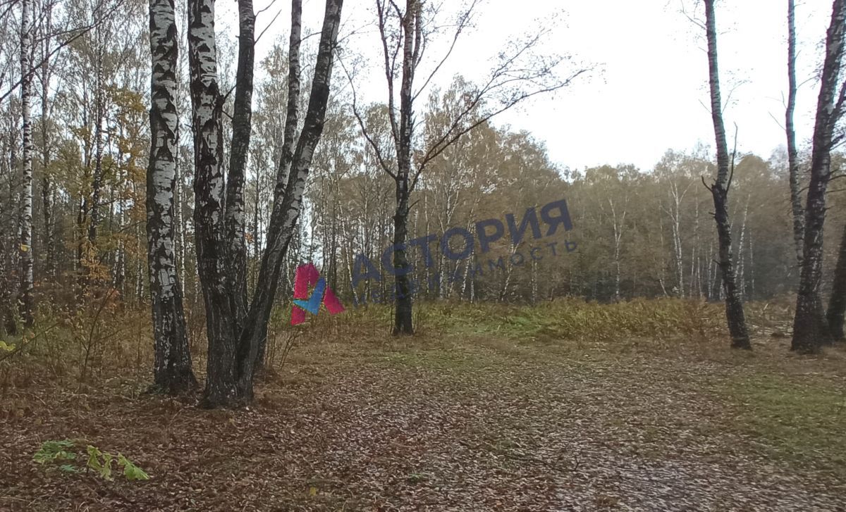 д. Ивановка, Земли населенных пунктов, 34.60 сот