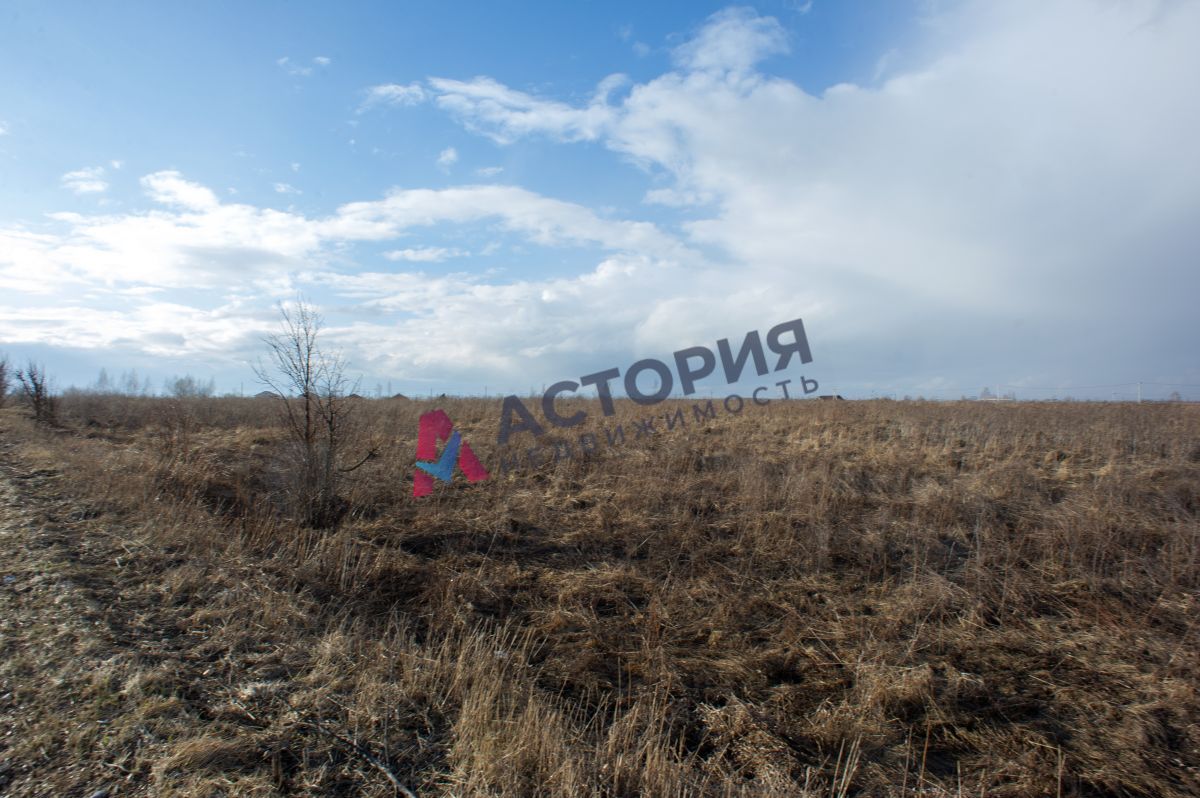 Морозовка, Земли С/Х назначения, 533.50 сот