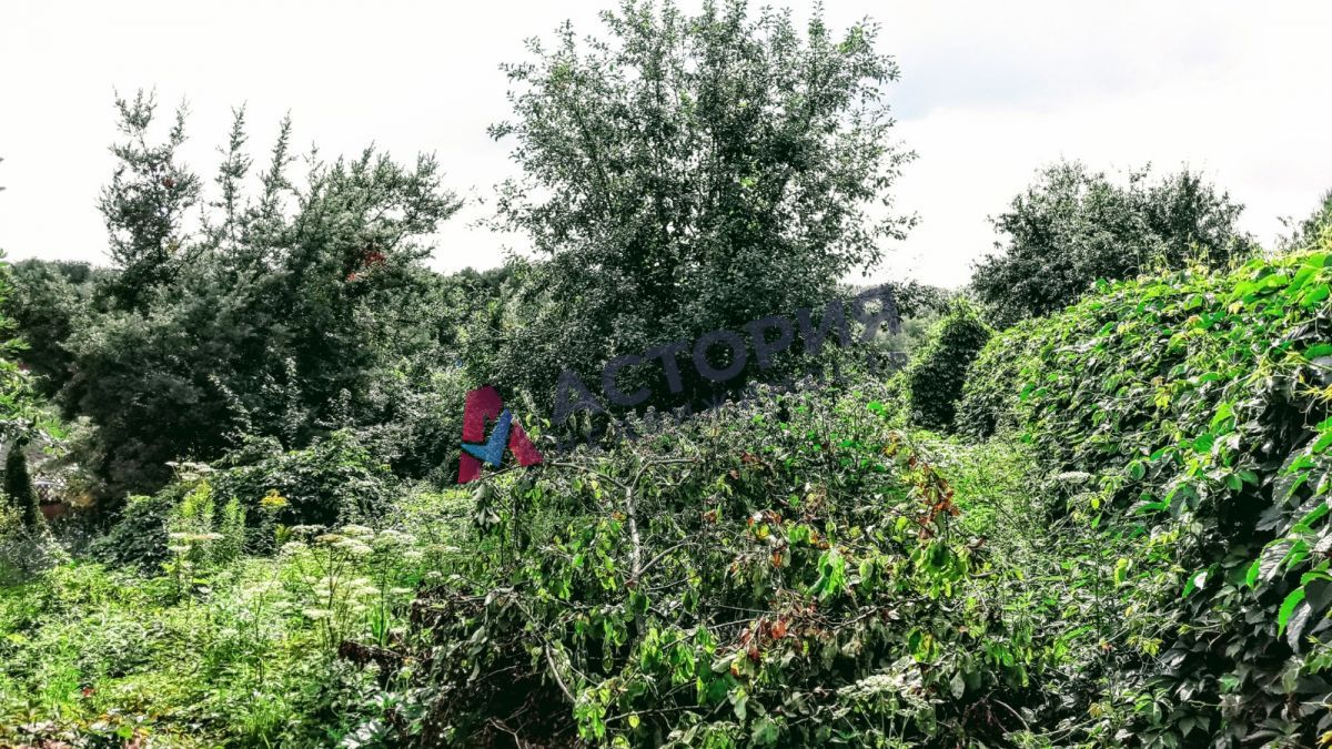 СНТ "Зайцево", Земли С/Х назначения, 6 сот
