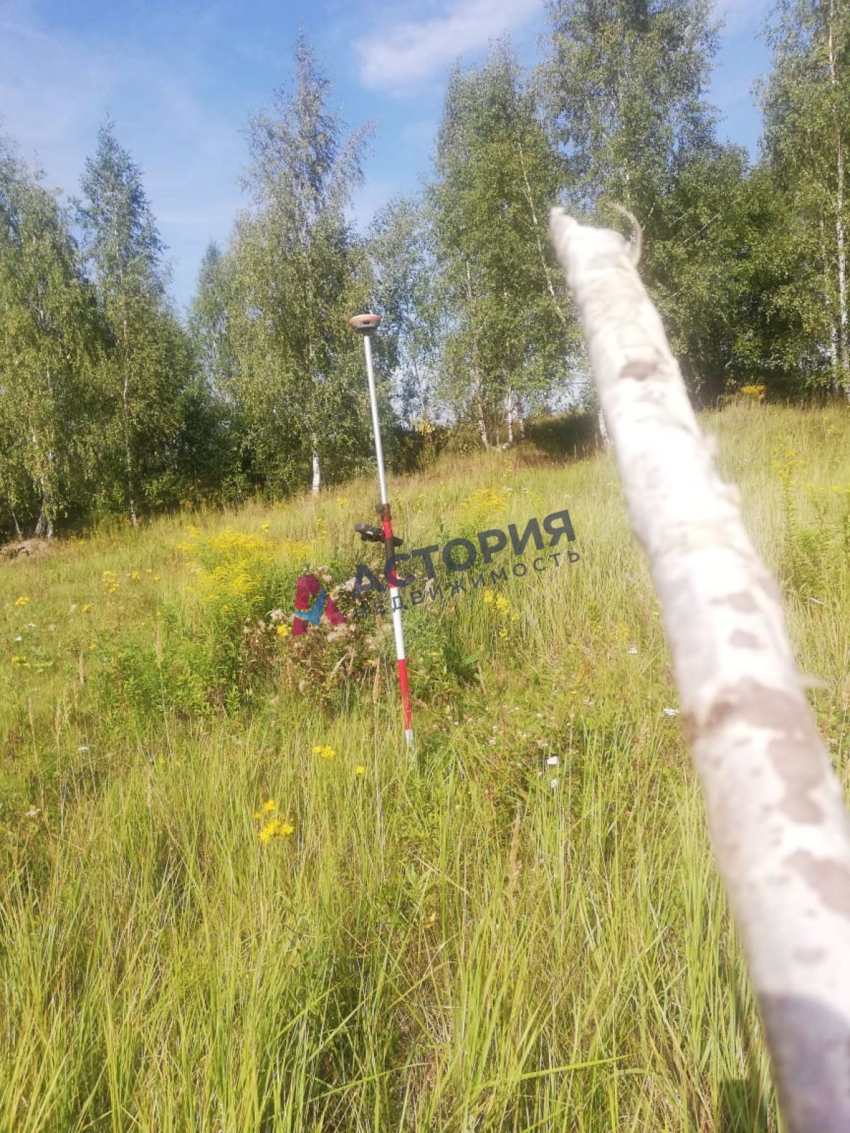 с.Страхово, Земли населенных пунктов, 77.55 сот