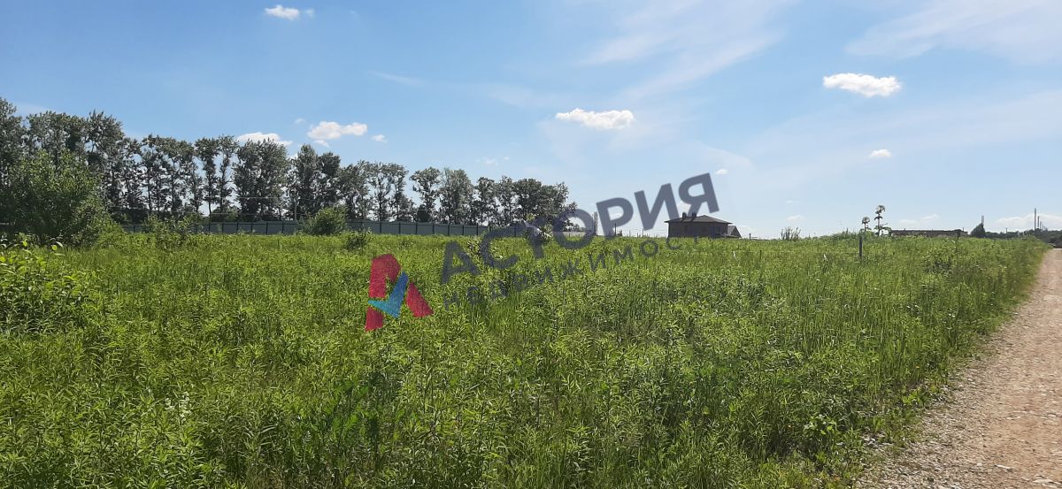 с.Страхово, Земли населенных пунктов, 18.36 сот
