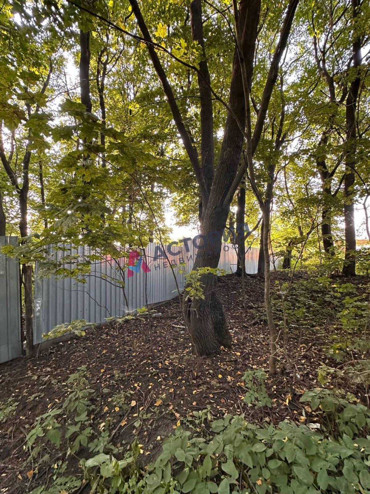 с. Прудищи, Земли населенных пунктов, 42.35 сот