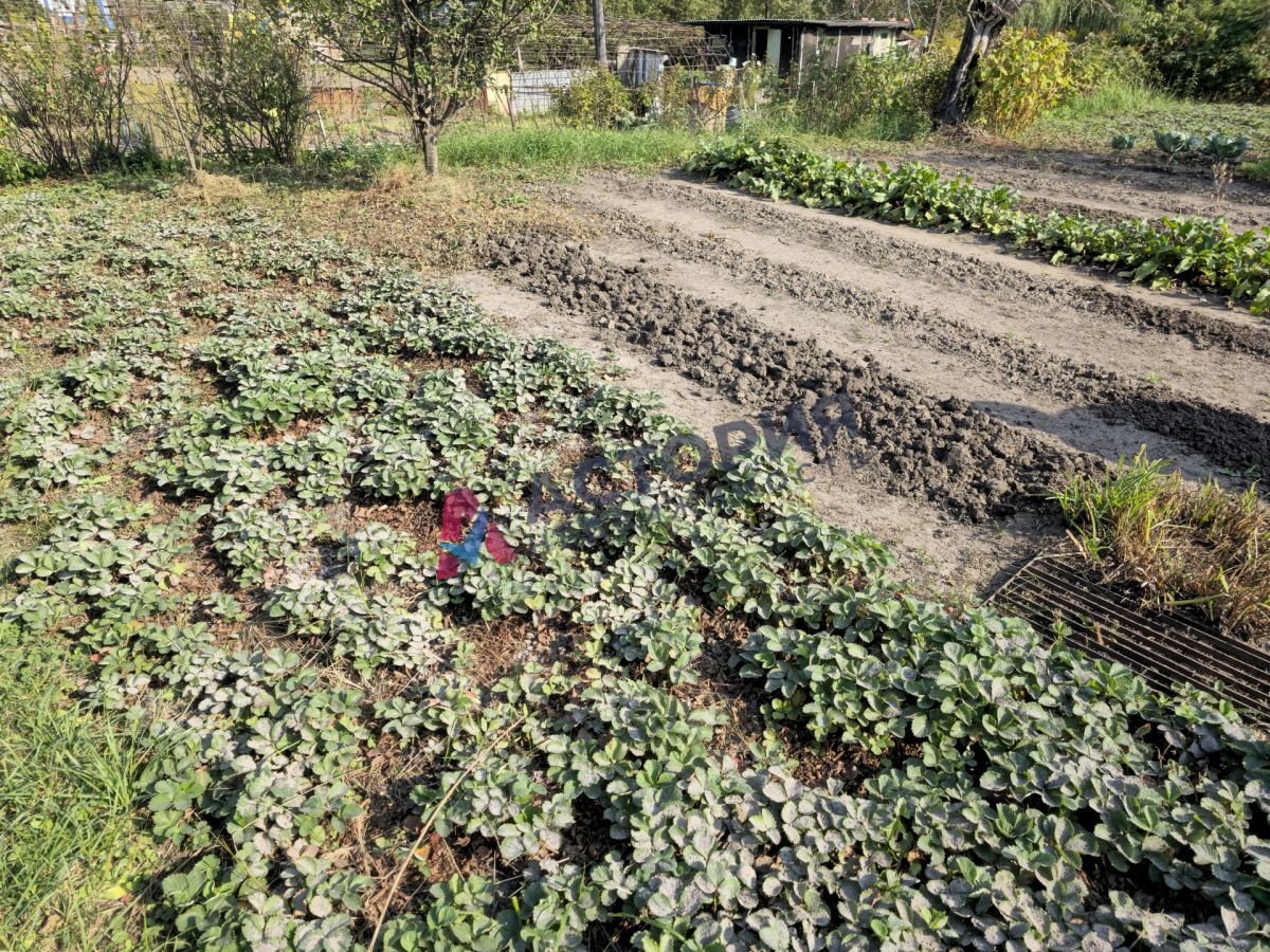 Басово Прудный, 35.20 кв.м., 6 сот
