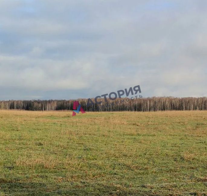 Житово
, Земли населенных пунктов, 20 сот