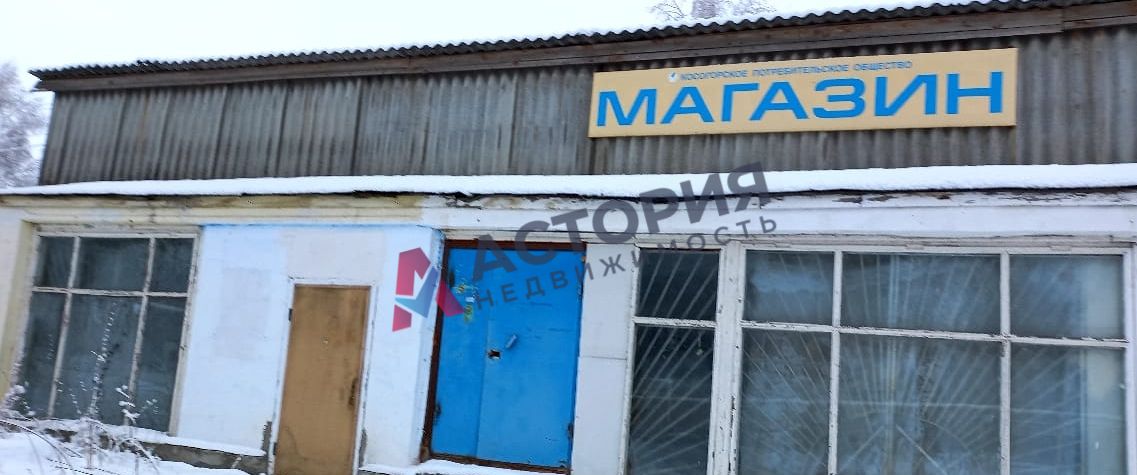 Школьная ул 9, 290.00 кв.м.