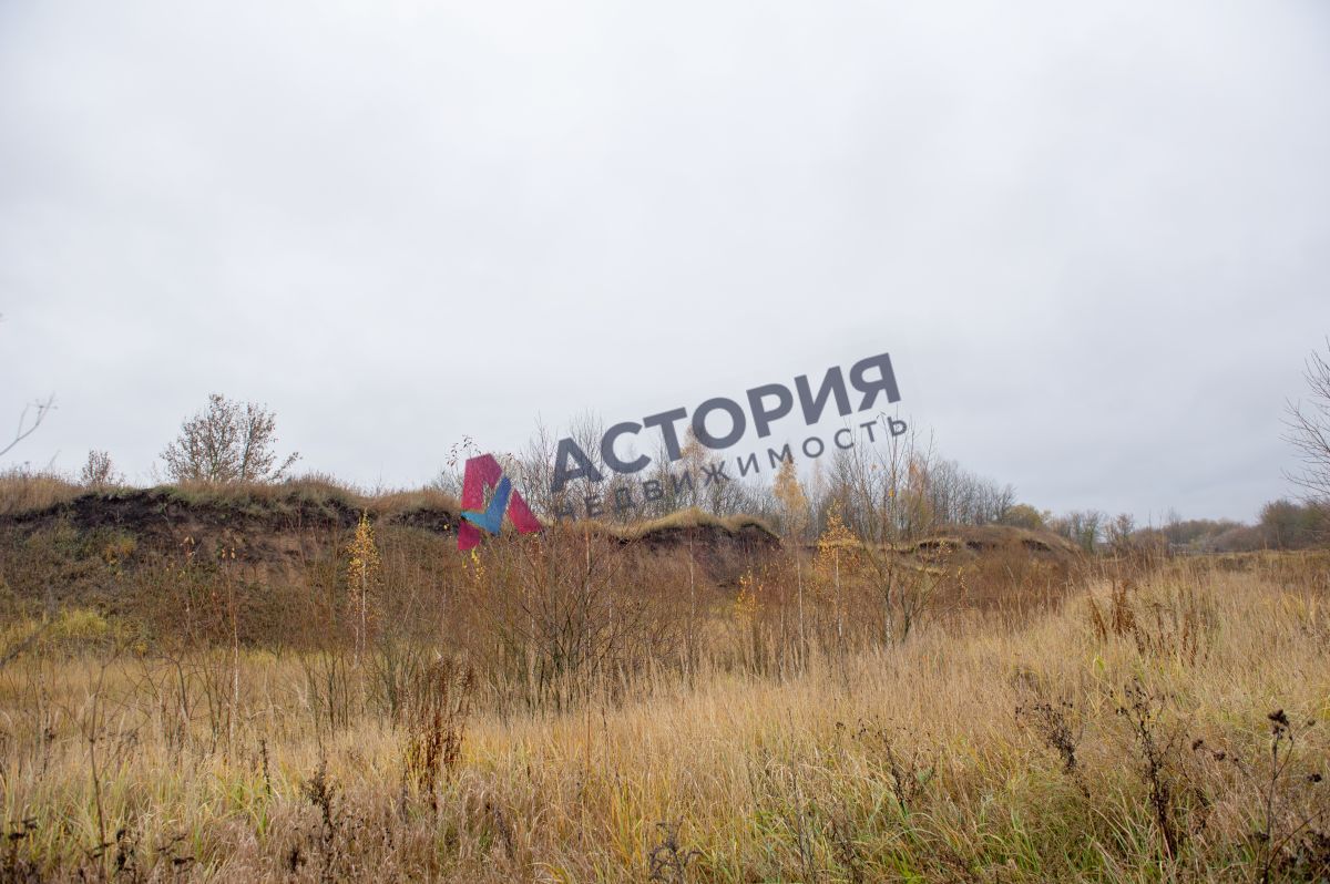 Горбачево п ., 87100.00 кв.м.