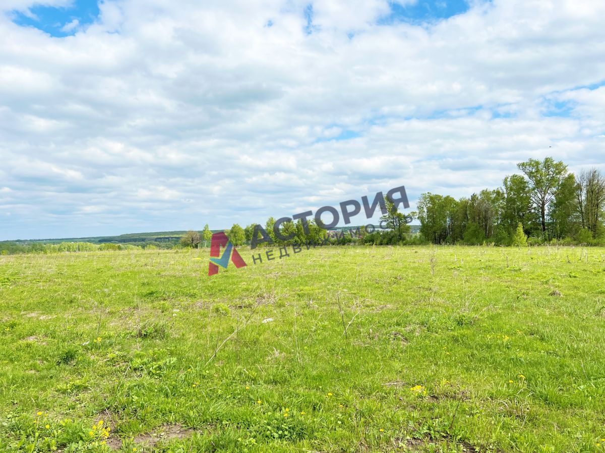 Медвенка, Земли населенных пунктов, 10.06 сот