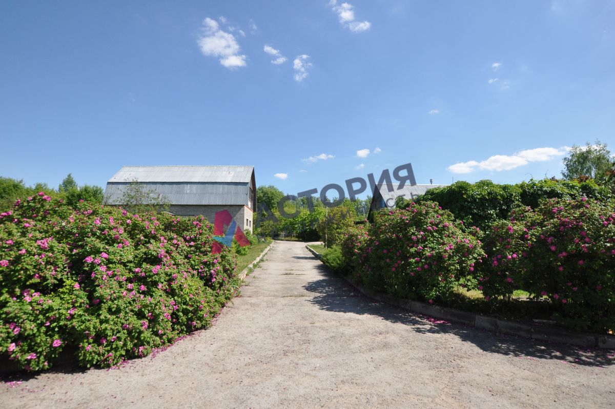 д.Курлутовка, 295 кв.м., 200 сот